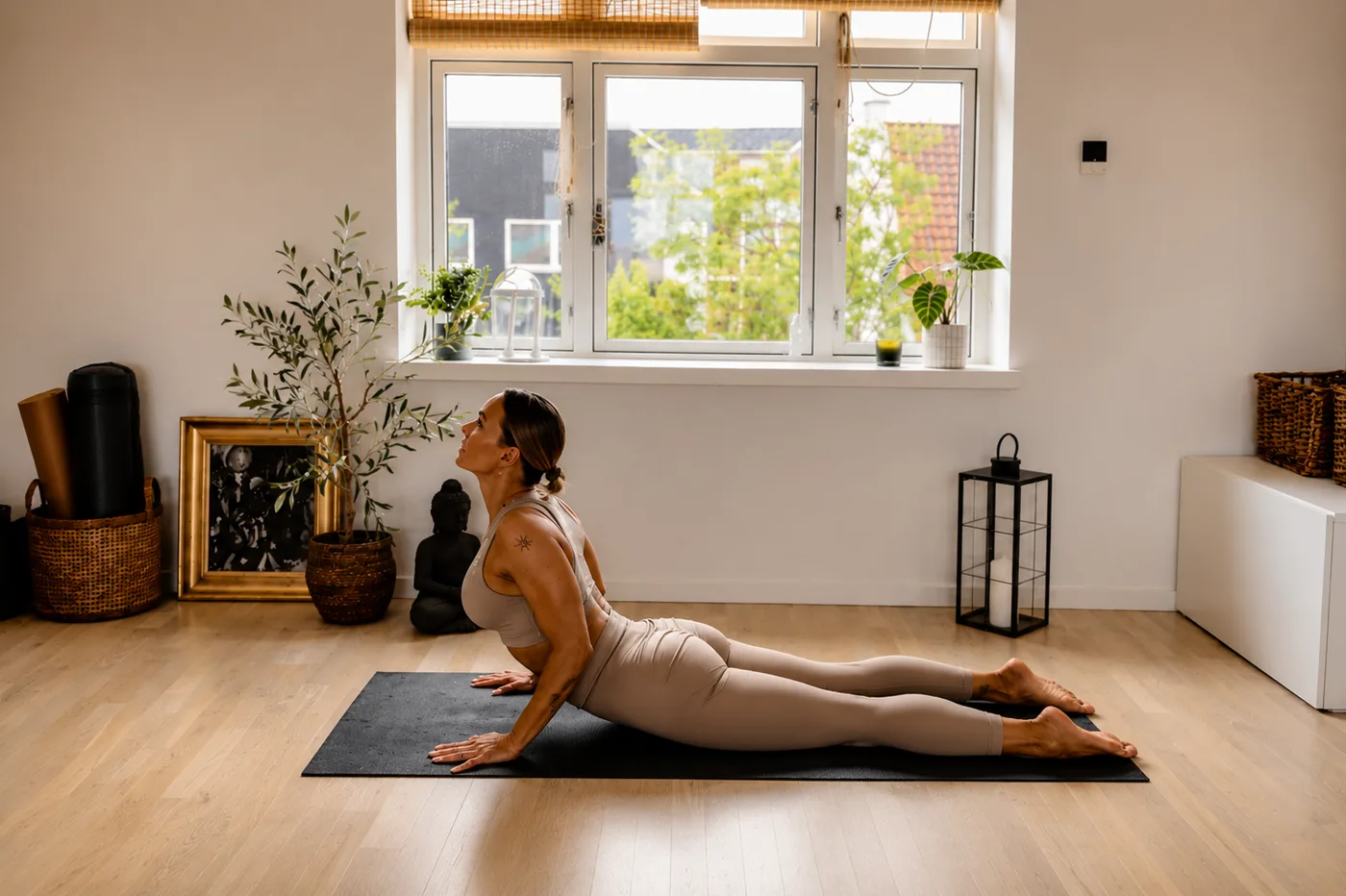 Home Workout Guide